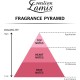 Creation Lamis Perfume Everyone For Unisex - 100Ml Creation Lamis Perfume Everyone For Unisex - 100Ml