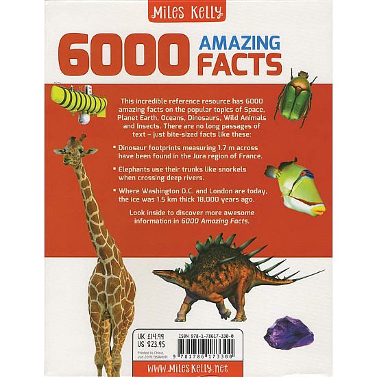 B384 6000 Amazing Facts