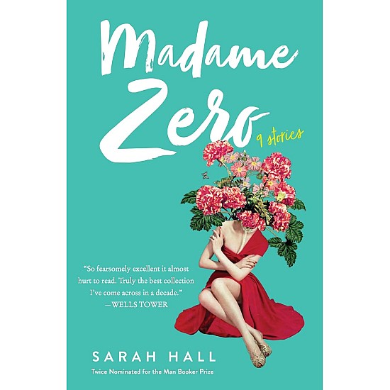 Madame Zero by Sarah Hall: 9 Stories