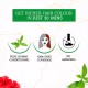 Vatika Naturals Henna Hair Color For Hair Dye 6 x 10 g | Burgundy | 100% Grey Coverage; Indian Henna Based | No Ammonia Vatika Naturals Henna Hair Color For Hair Dye 6 x 10 g | Burgundy | 100% Grey Coverage; Indian Henna Based | No Ammonia