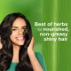 Himalaya Herbals Protein Hair Cream - 140ml Himalaya Herbals Protein Hair Cream - 140ml