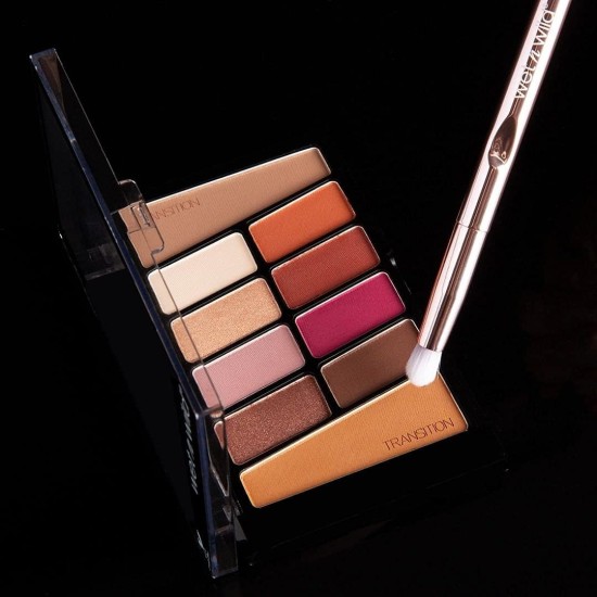 Wet n wild color icon 10 pan palette e758 Wet n wild color icon 10 pan palette e758
