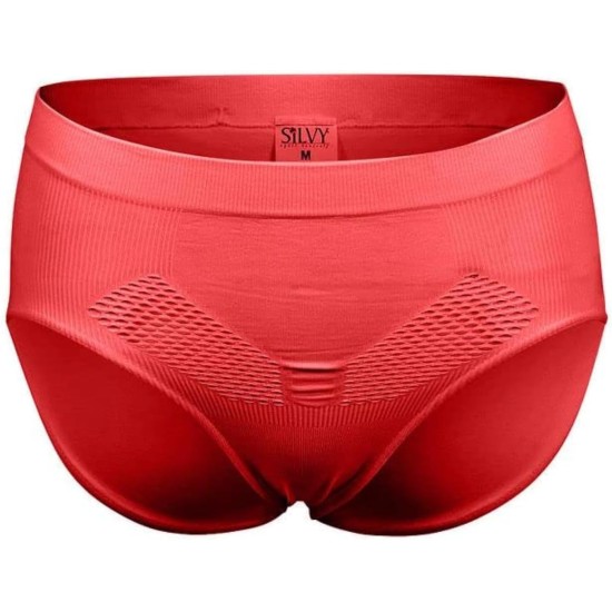 Silvy Womens Net Panty-1 Underwear Silvy Womens Net Panty-1 Underwear