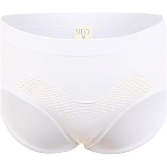Silvy Womens Net Panty-1 Underwear Silvy Womens Net Panty-1 Underwear