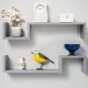 Gatton Design Floating Shelves | Grey | Wall Mounted S Shape Design | Shelves for Wall | Wall Shelves for Bedroom, Living Room, Bathroom & Kitchen | Floating Shelf | Preassembled Decor Wall Shelf Gatton Design Floating Shelves | Grey | Wall Mounted S Shape Design | Shelves for Wall | Wall Shelves for Bedroom, Living Room, Bathroom & Kitchen | Floating Shelf | Preassembled Decor Wall Shelf
