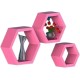 Wall mounted hexagon floating shelves, wooden wall organizer hanging shelf for home decor(3pcs)-black