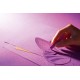 Canson 10 Sheets A4 160gsm Semi-Coloured Paper - Vivid Colours - C31032S051 Canson 10 Sheets A4 160gsm Semi-Coloured Paper - Vivid Colours - C31032S051