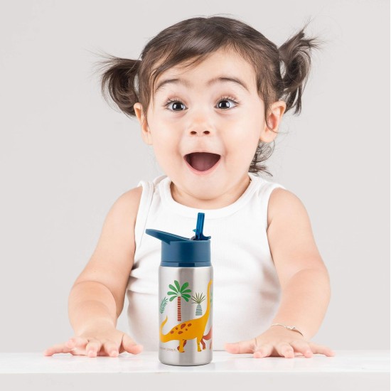 Flip Top Stainless Steel Bottles 530ML – Dino