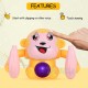 Bzkid Dancing Monkey Toy with Voice/Touch Sensor, Rolling & Spinning Monkey Doll Toy, Light & Sound Effect Toys for Toddler, Voice Controlled Banana Sensored Monkey, Durable ABS Plastic - WITH BATTERY Bzkid Dancing Monkey Toy with Voice/Touch Sensor, Rolling & Spinning Monkey Doll Toy, Light & Sound Effect Toys for Toddler, Voice Controlled Banana Sensored Monkey, Durable ABS Plastic - WITH BATTERY