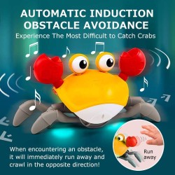 KLQQLK Crawling Crab Baby Toy| Infant Tummy Time Toys 3 4 5 6 7 8 9 10 11 12 Babies Boy 3-6 6-12 Learning Crawl 9-12 12-18 Walking Toddler 36 Months Old Music Development Interactive Birthday Gift