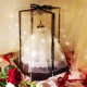 Acrylic Display Case for Model Cars, Figures, Collectibles with Silk Ribbon (20 x 15 x 30 cm) Acrylic Display Case for Model Cars, Figures, Collectibles with Silk Ribbon (20 x 15 x 30 cm)