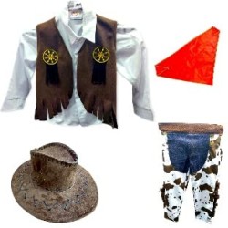 2023 Cowboy Costume