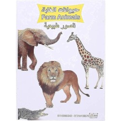 Educational Cards with Jungle animal Pictures for Kids