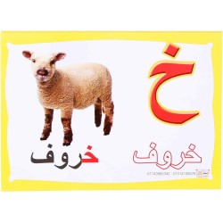 Educational alphabetical Cards with Pictures for Kids