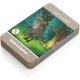 Flash Cards - AR - Dinosaurs Flash Cards - AR - Dinosaurs