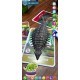 Flash Cards - AR - Dinosaurs Flash Cards - AR - Dinosaurs