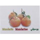 Generic Fruits Flash Cards For Unisex, 20 Pieces - Multi Color Generic Fruits Flash Cards For Unisex, 20 Pieces - Multi Color