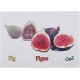 Generic Fruits Flash Cards For Unisex, 20 Pieces - Multi Color Generic Fruits Flash Cards For Unisex, 20 Pieces - Multi Color