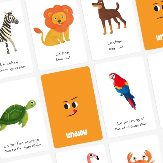 Lanalou Toddlers & Kids Flashcards|French/English/Arabic | 185+ Cards & 560+ Words | 9 Topics: ABC&123 - Animals - Fruits & Vegetables - Shapes & Colors - Emotions & Family | Let's Learn Through Play Lanalou Toddlers & Kids Flashcards|French/English/Arabic | 185+ Cards & 560+ Words | 9 Topics: ABC&123 - Animals - Fruits & Vegetables - Shapes & Colors - Emotions & Family | Let's Learn Through Play