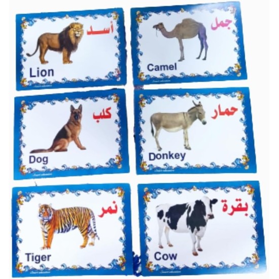 Set of Educational Cards, Write, Draw and Color Paper for Kids to Develop Basic Skills and Excellence Choose Your Child the Best Educational Cards (English Number Cards) Set of Educational Cards, Write, Draw and Color Paper for Kids to Develop Basic Skills and Excellence Choose Your Child the Best Educational Cards (English Number Cards)