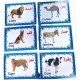 Set of Educational Cards, Write, Draw and Color Paper for Kids to Develop Basic Skills and Excellence Choose Your Child the Best Educational Cards (English Number Cards) Set of Educational Cards, Write, Draw and Color Paper for Kids to Develop Basic Skills and Excellence Choose Your Child the Best Educational Cards (English Number Cards)
