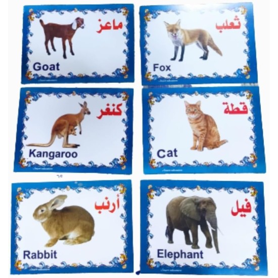 Set of Educational Cards, Write, Draw and Color Paper for Kids to Develop Basic Skills and Excellence Choose Your Child the Best Educational Cards (English Number Cards) Set of Educational Cards, Write, Draw and Color Paper for Kids to Develop Basic Skills and Excellence Choose Your Child the Best Educational Cards (English Number Cards)