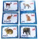 Set of Educational Cards, Write, Draw and Color Paper for Kids to Develop Basic Skills and Excellence Choose Your Child the Best Educational Cards (English Number Cards) Set of Educational Cards, Write, Draw and Color Paper for Kids to Develop Basic Skills and Excellence Choose Your Child the Best Educational Cards (English Number Cards)