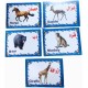 Set of Educational Cards, Write, Draw and Color Paper for Kids to Develop Basic Skills and Excellence Choose Your Child the Best Educational Cards (English Number Cards) Set of Educational Cards, Write, Draw and Color Paper for Kids to Develop Basic Skills and Excellence Choose Your Child the Best Educational Cards (English Number Cards)