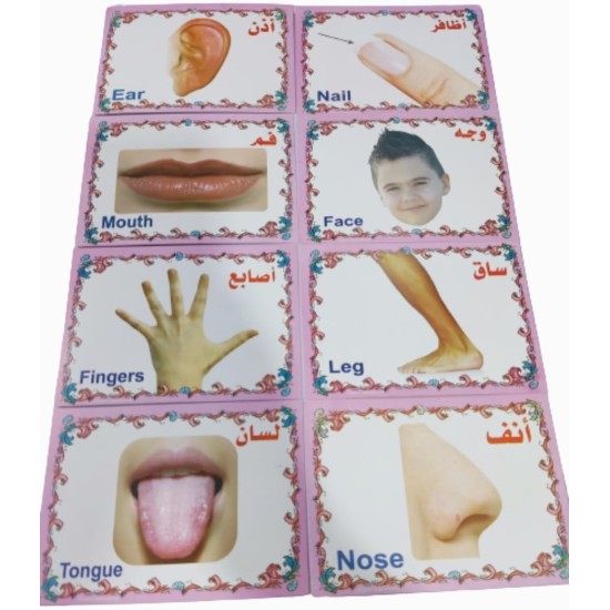 Set of Educational Cards, Write, Draw and Color Paper for Kids to Develop Basic Skills and Excellence Choose Your Child the Best Educational Cards (English Number Cards) Set of Educational Cards, Write, Draw and Color Paper for Kids to Develop Basic Skills and Excellence Choose Your Child the Best Educational Cards (English Number Cards)