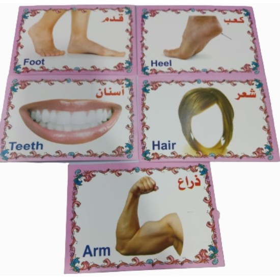 Set of Educational Cards, Write, Draw and Color Paper for Kids to Develop Basic Skills and Excellence Choose Your Child the Best Educational Cards (English Number Cards) Set of Educational Cards, Write, Draw and Color Paper for Kids to Develop Basic Skills and Excellence Choose Your Child the Best Educational Cards (English Number Cards)