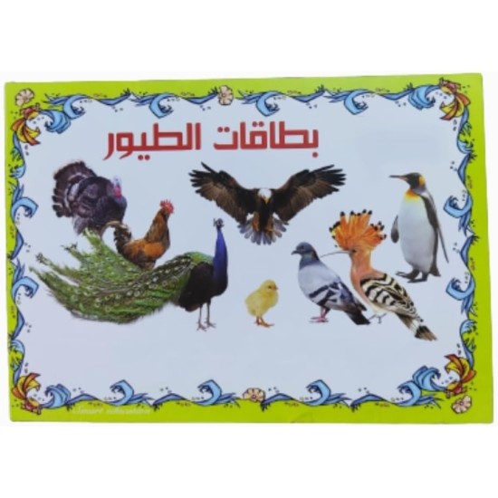 Set of Educational Cards, Write, Draw and Color Paper for Kids to Develop Basic Skills and Excellence Choose Your Child the Best Educational Cards (English Number Cards) Set of Educational Cards, Write, Draw and Color Paper for Kids to Develop Basic Skills and Excellence Choose Your Child the Best Educational Cards (English Number Cards)