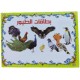 Set of Educational Cards, Write, Draw and Color Paper for Kids to Develop Basic Skills and Excellence Choose Your Child the Best Educational Cards (English Number Cards) Set of Educational Cards, Write, Draw and Color Paper for Kids to Develop Basic Skills and Excellence Choose Your Child the Best Educational Cards (English Number Cards)