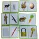 Set of Educational Cards, Write, Draw and Color Paper for Kids to Develop Basic Skills and Excellence Choose Your Child the Best Educational Cards (English Number Cards) Set of Educational Cards, Write, Draw and Color Paper for Kids to Develop Basic Skills and Excellence Choose Your Child the Best Educational Cards (English Number Cards)