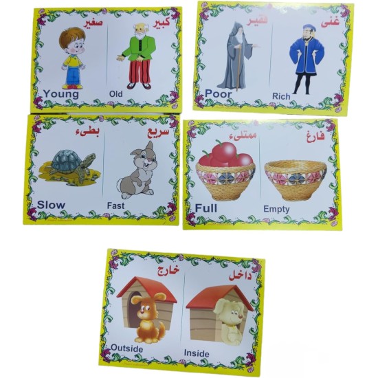 Set of Educational Cards, Write, Draw and Color Paper for Kids to Develop Basic Skills and Excellence Choose Your Child the Best Educational Cards (English Number Cards) Set of Educational Cards, Write, Draw and Color Paper for Kids to Develop Basic Skills and Excellence Choose Your Child the Best Educational Cards (English Number Cards)