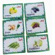 Set of Educational Cards, Write, Draw and Color Paper for Kids to Develop Basic Skills and Excellence Choose Your Child the Best Educational Cards (English Number Cards) Set of Educational Cards, Write, Draw and Color Paper for Kids to Develop Basic Skills and Excellence Choose Your Child the Best Educational Cards (English Number Cards)