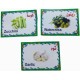 Set of Educational Cards, Write, Draw and Color Paper for Kids to Develop Basic Skills and Excellence Choose Your Child the Best Educational Cards (English Number Cards) Set of Educational Cards, Write, Draw and Color Paper for Kids to Develop Basic Skills and Excellence Choose Your Child the Best Educational Cards (English Number Cards)