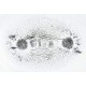 Iron Filings - 10 Grams Package for Science Experiments Iron Filings - 10 Grams Package for Science Experiments