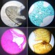 Little World Microscope Kit - Beginner Science Kit, Educational Toy with Prepared Slides 12 pcs, Magnification 1200X 400X 100X, Microscope for Kids, Birthday Gifts Little World Microscope Kit - Beginner Science Kit, Educational Toy with Prepared Slides 12 pcs, Magnification 1200X 400X 100X, Microscope for Kids, Birthday Gifts