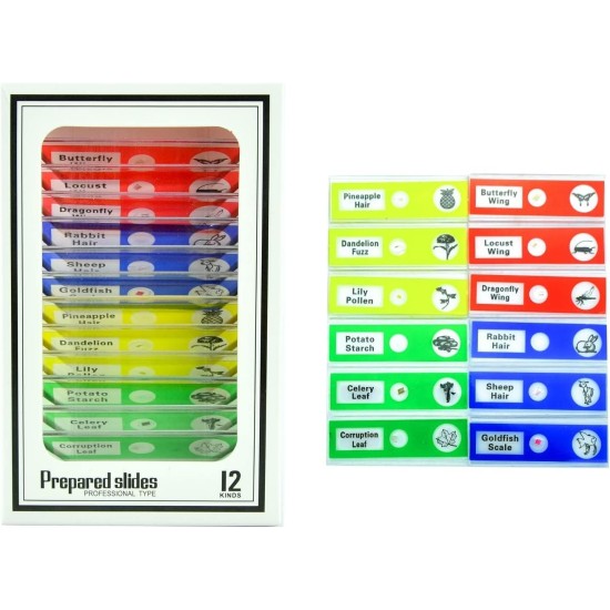 Little World Microscope Kit - Beginner Science Kit, Educational Toy with Prepared Slides 12 pcs, Magnification 1200X 400X 100X, Microscope for Kids, Birthday Gifts Little World Microscope Kit - Beginner Science Kit, Educational Toy with Prepared Slides 12 pcs, Magnification 1200X 400X 100X, Microscope for Kids, Birthday Gifts