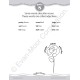 Grammar & Punctuation, Grade 2 Teacher Resource Grammar & Punctuation, Grade 2 Teacher Resource
