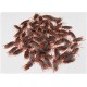 20PCS Fake Cockroach Decoration Jokes Pranks Maker Fun Novelty Tricks Simulation False