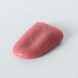 Realistic Artificial Magic Tongue for Stage, Carnival, Halloween, Party Decoration