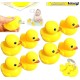 Generic Zumblek duck 8 piece Generic Zumblek duck 8 piece