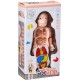 Human body model