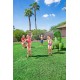 Bestway 52294 dinosaur shaped water sprinkler Bestway 52294 dinosaur shaped water sprinkler