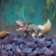 Jurassic World Captivz Hatchling Buildable Dinos, Green, 50g Jurassic World Captivz Hatchling Buildable Dinos, Green, 50g
