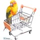 Mini Shopping Cart for Kids, Supermarket Cart, Small Metal Cart for Kids, Office Decoration Shopping Cart, Tool Rack, Pet Bird Toys, Best Product Supplier Al-Israa (Blue) Mini Shopping Cart for Kids, Supermarket Cart, Small Metal Cart for Kids, Office Decoration Shopping Cart, Tool Rack, Pet Bird Toys, Best Product Supplier Al-Israa (Blue)
