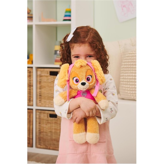 Paw Patrol GND GLC 13inPwPtrlSkyeTkeALong GML6pkSLD Paw Patrol GND GLC 13inPwPtrlSkyeTkeALong GML6pkSLD
