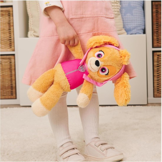 Paw Patrol GND GLC 13inPwPtrlSkyeTkeALong GML6pkSLD Paw Patrol GND GLC 13inPwPtrlSkyeTkeALong GML6pkSLD