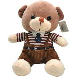 Teddy Bear Multi Color (Multi)